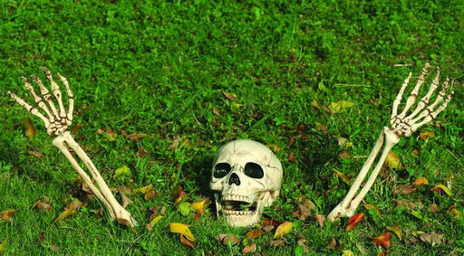 Buried Alive Skeleton Parts | 1ct - Zurchers