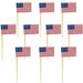 Patriotic US Flag Picks| 50 ct - Zurchers