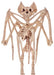 Halloween Jumbo Skeleton Bat 36in | 1ct - Zurchers
