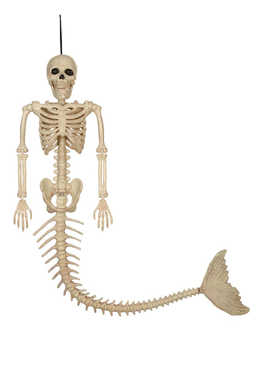 16in Skeleton Mermaid Bone | 1ct - Zurchers
