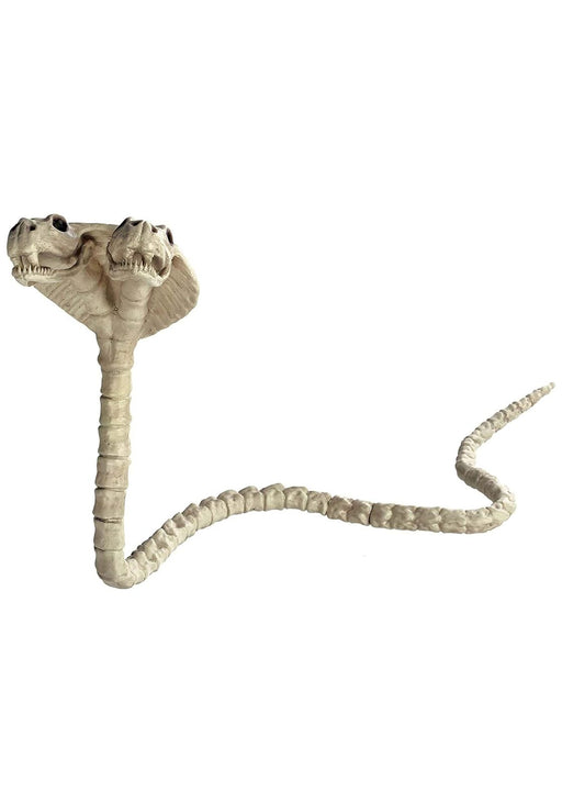 Double Headed Cobra Skeleton | 1ct - Zurchers