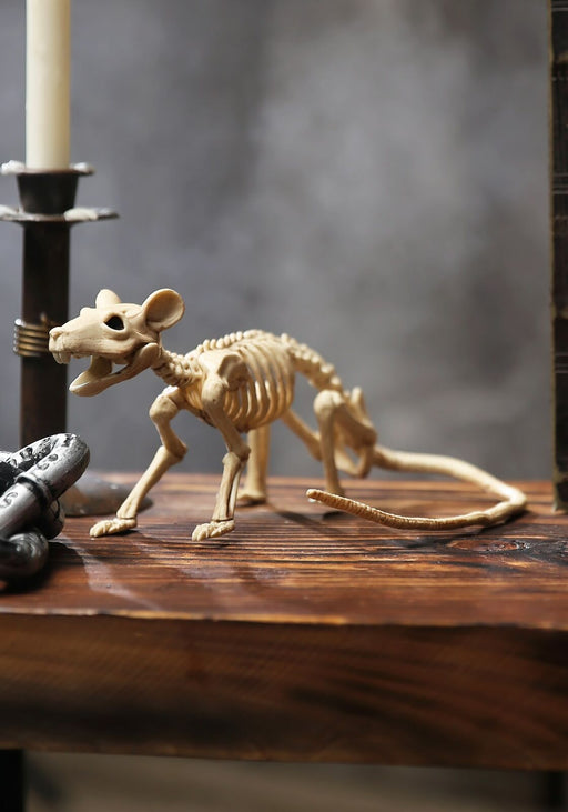 Rat Skeleton | 1ct - Zurchers