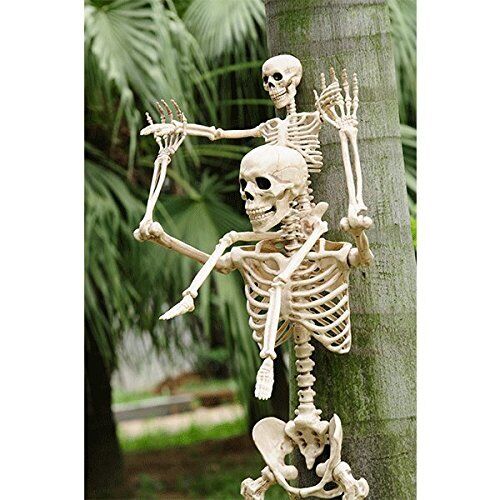 Halloween Posable Skeleton 36in | 1ct - Zurchers