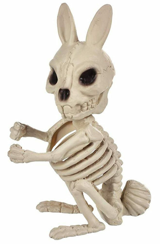 6in Skeleton Bunny | 1ct - Zurchers