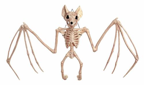 Halloween Bat Skeleton 22in | 1ct - Zurchers