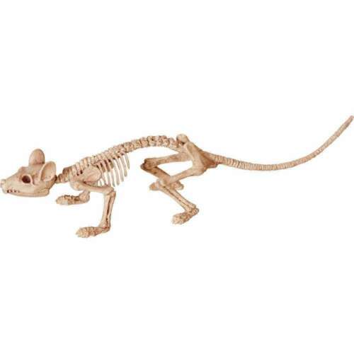 Mini Skeleton Rat | 1 ct - Zurchers