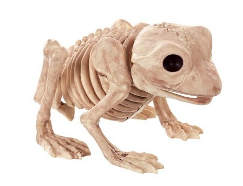 Large Skeleton Frog | 1ct - Zurchers