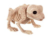 Large Skeleton Frog | 1ct - Zurchers