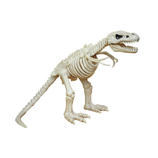 T - Rex Skeleton | 1ct - Zurchers