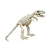 T - Rex Skeleton | 1ct - Zurchers