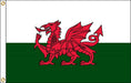 A flag with a red dragon passant on a white and green background, the top half white and the bottom half green.
